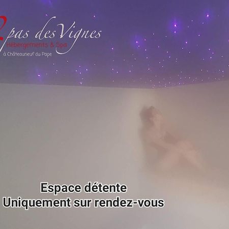 A 2 Pas Des Vignes, Hebergements Et Spa, Maison Numero 6, A Chateauneuf Du Pape Zewnętrze zdjęcie